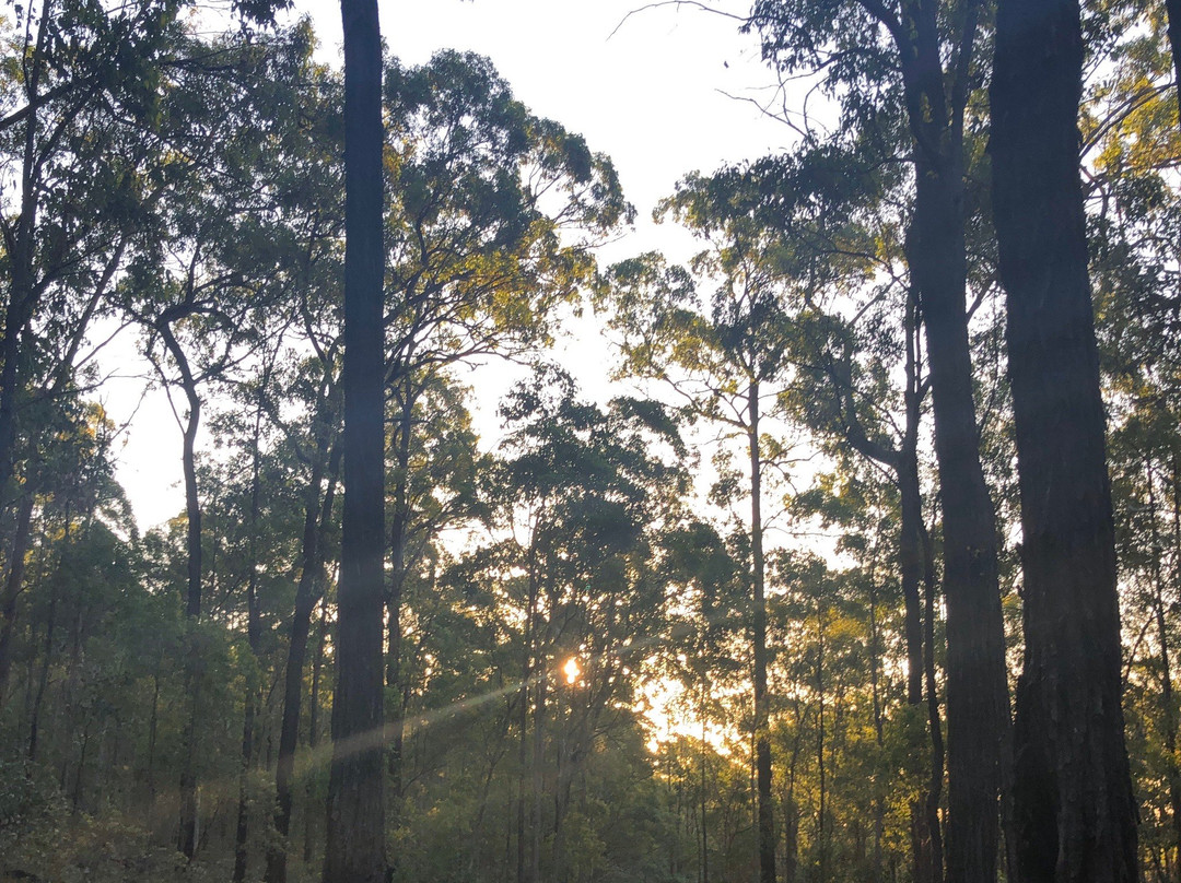 Wickham National Park景点图片