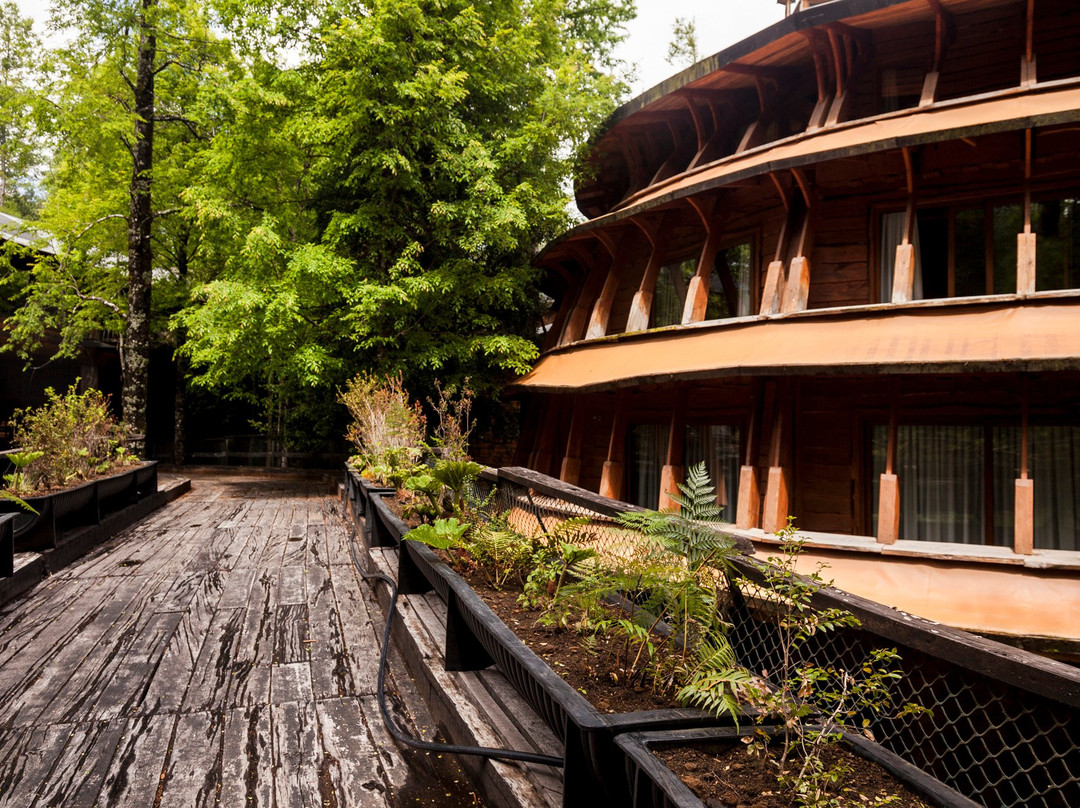Huilo Huilo Reino Fungi Lodge