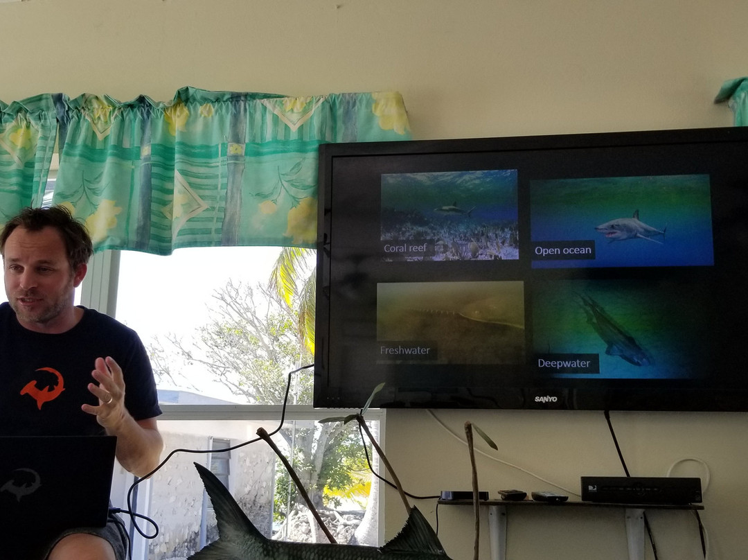 The Silent Hunter Group-Andros必去景点