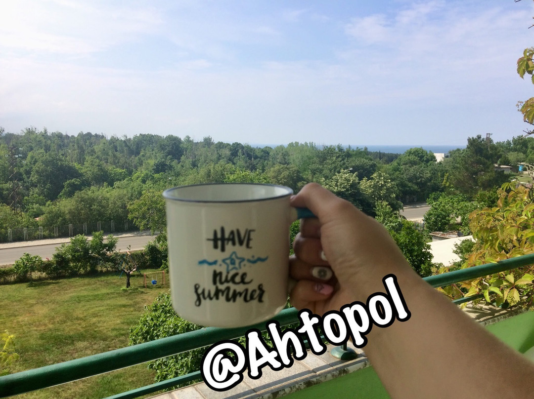 Guesthouse Kamelia主图