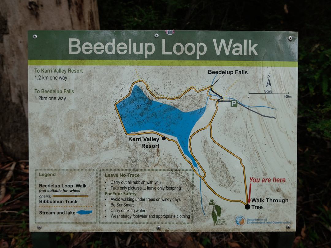 Greater Beedelup National Park-彭伯顿必去景点