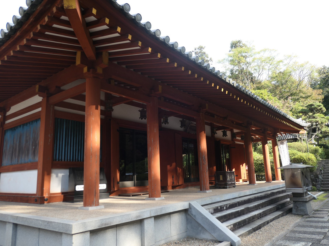 Byodo-ji Temple-樱井市必去景点