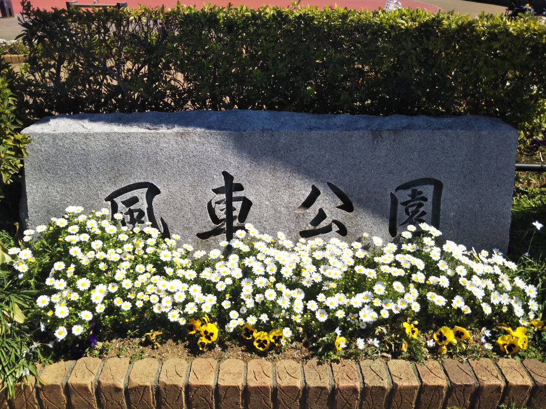 Fusha Park景点图片