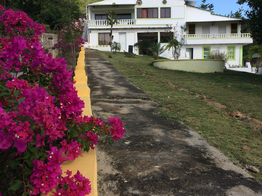 Villa Alfonsina主图