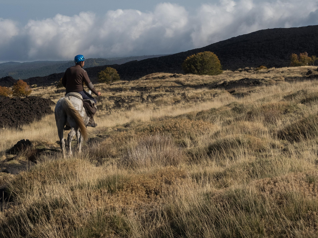 Sicily on horseback景点图片