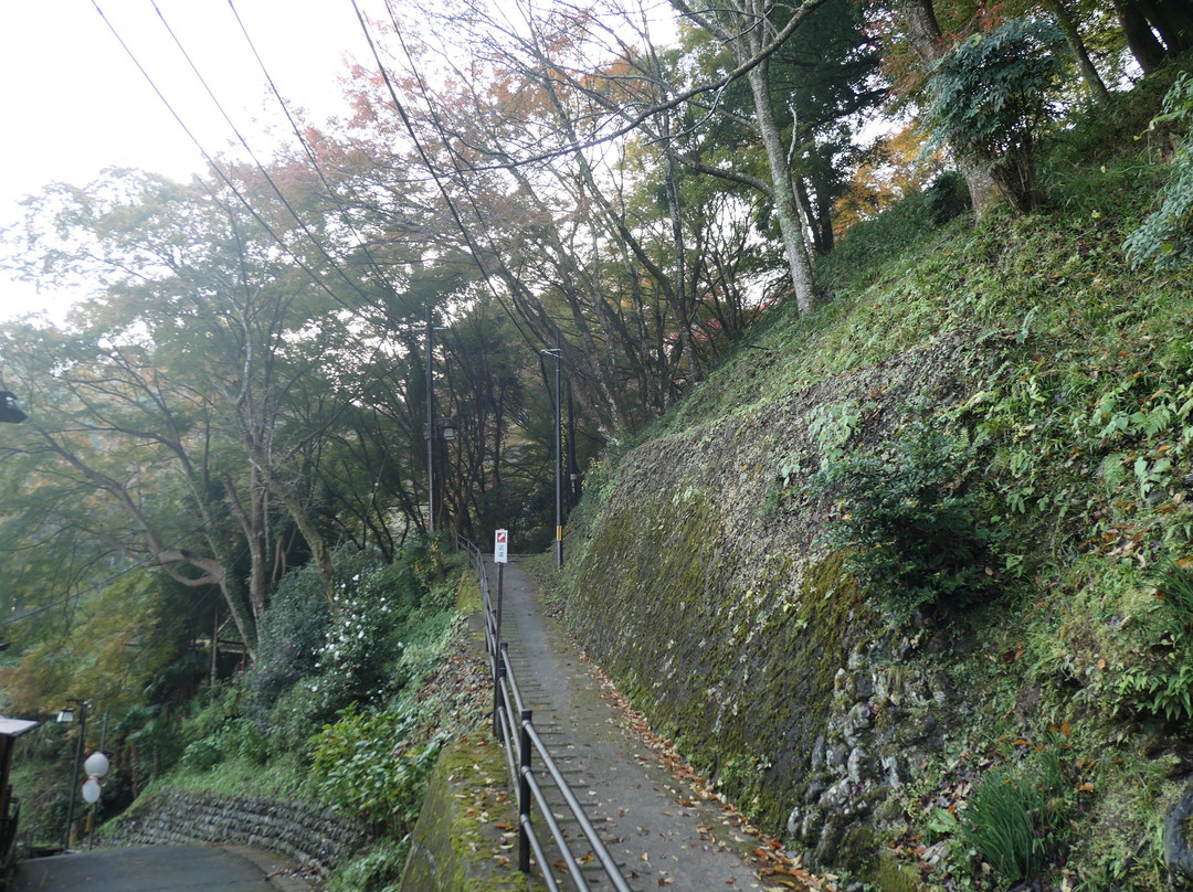 Yoshinoyama Ropeway景点图片