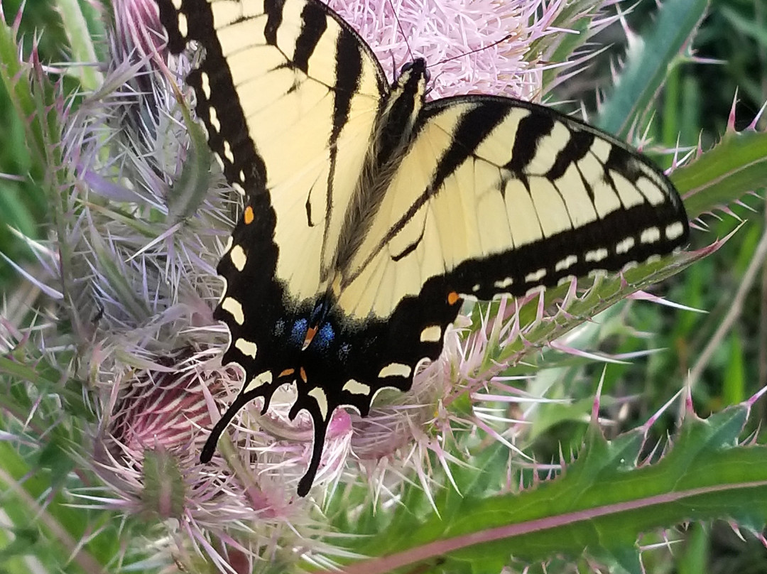 Fairfield Lake State Park-Fairfield必去景点