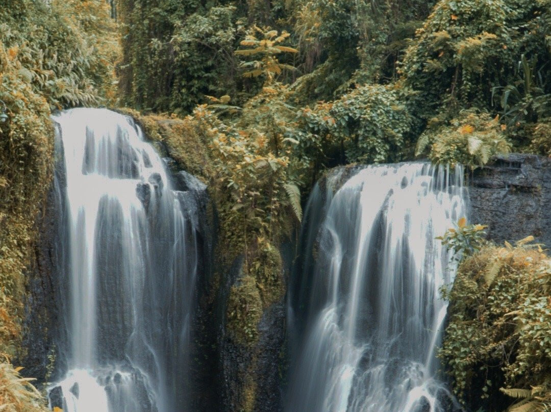 Beji Griya Waterfall景点图片