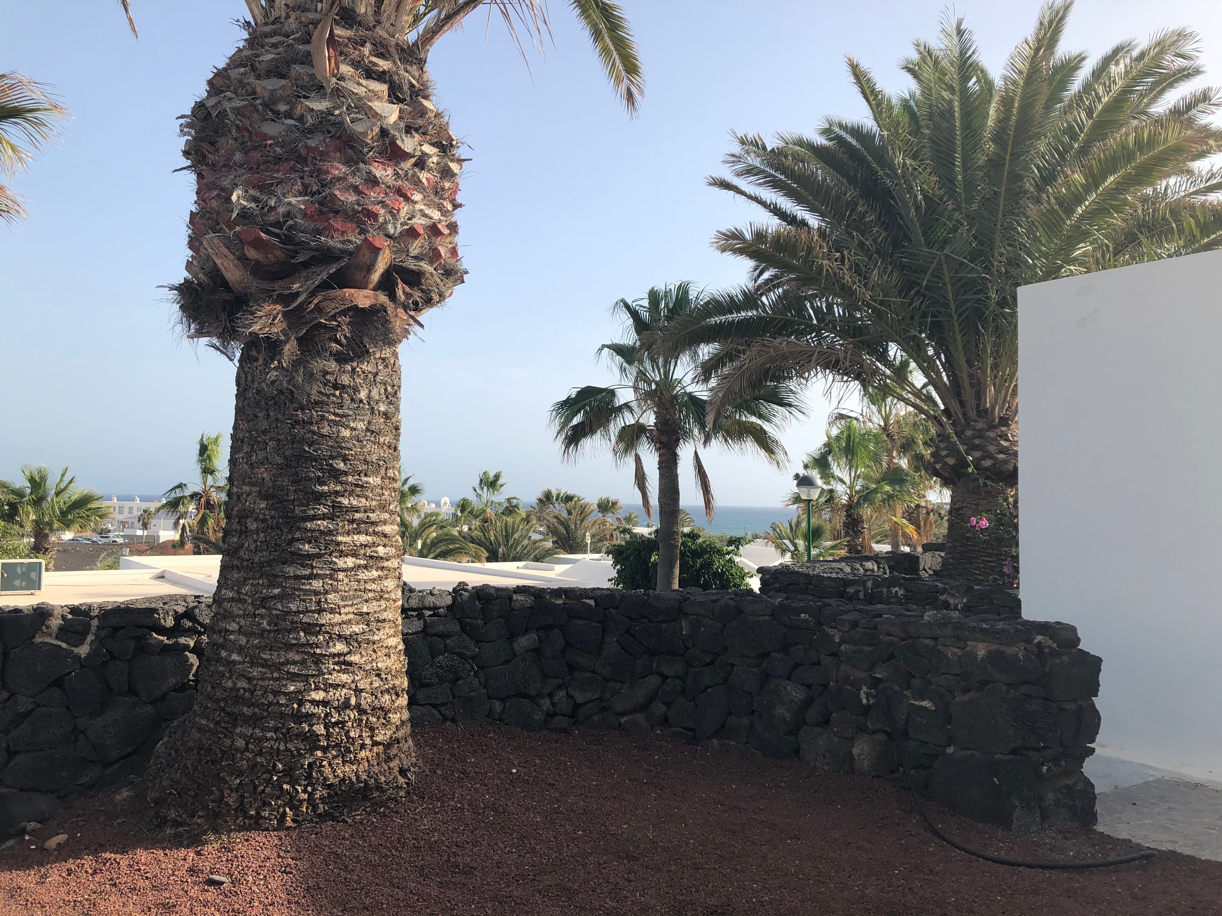 海鸥洋房酒店-酒店景观