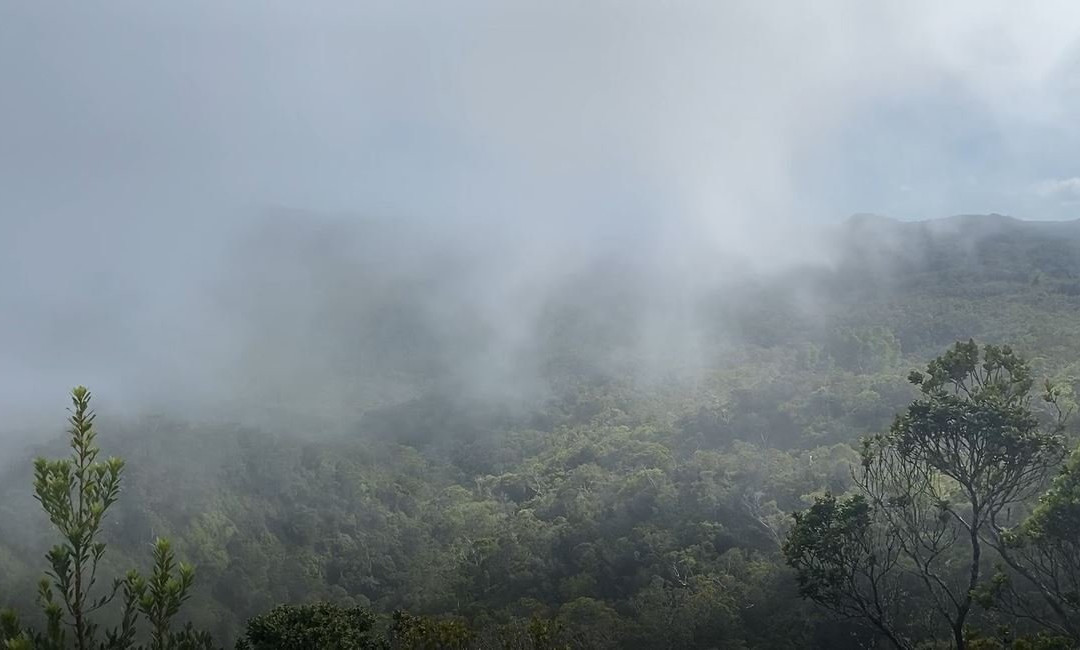 Pihea Trail-科卡哈必去景点