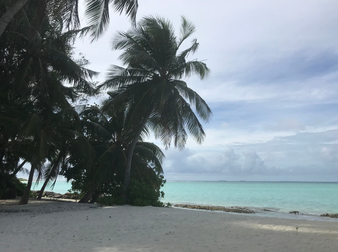 Arivilla Seaview主图