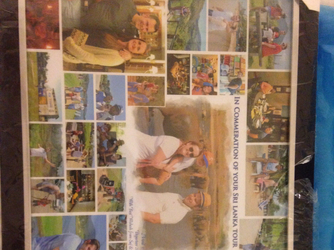 Ceylon Island Tours-科奇克德必去景点