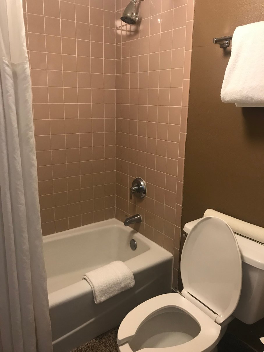 Ramada by Wyndham Temple Terrace/Tampa North-浴室