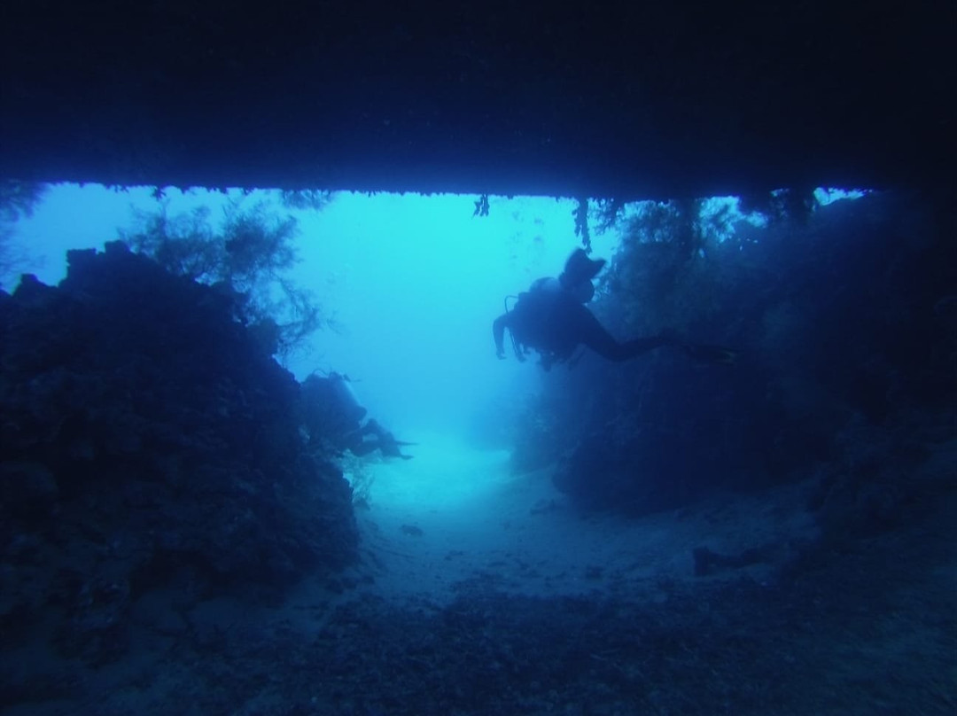 Sindbad Dive Club-亚喀巴必去景点