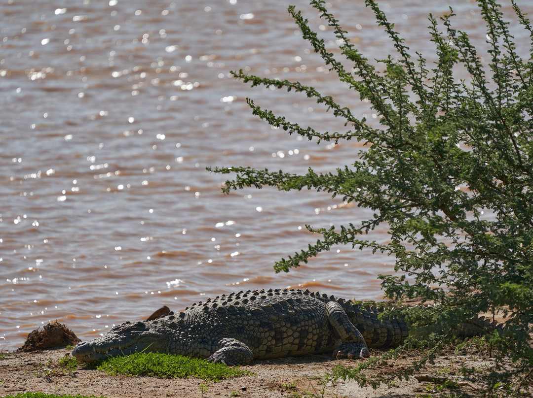 Erindi Game Reserve-Omaruru必去景点