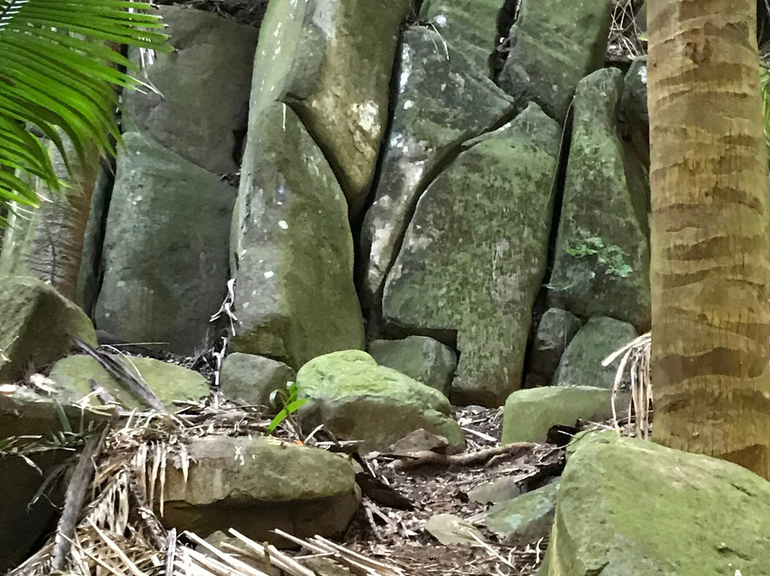 Altavista Petroglyph Complex-Chacala必去景点