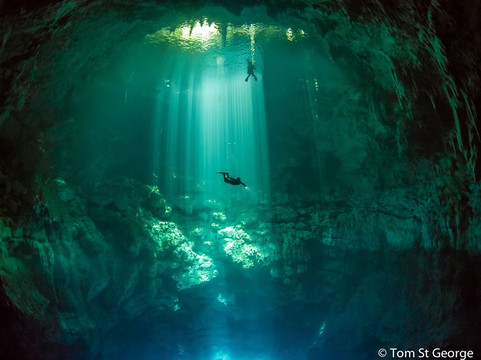 La Calypso Dive Center-图伦必去景点