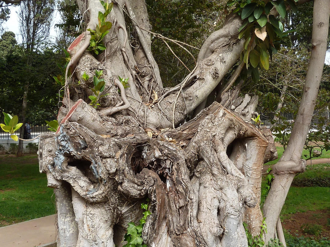 Jardin D'essais-拉巴特必去景点