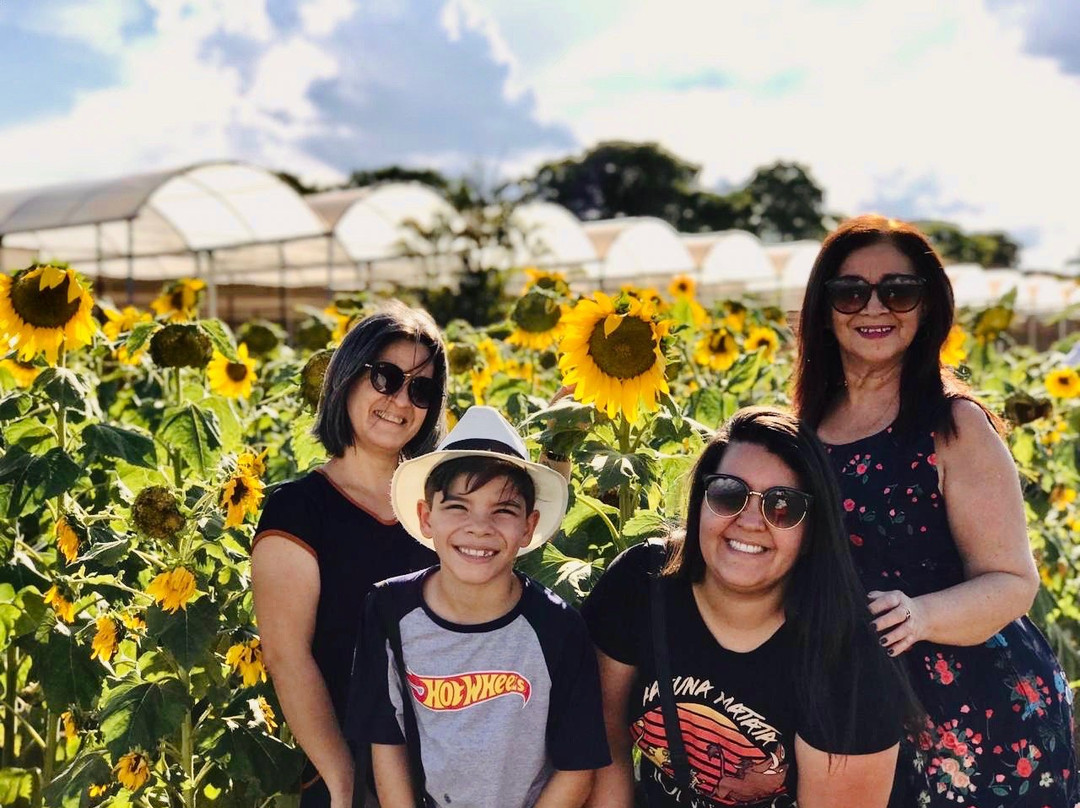 Holambra Garden Hotel主图