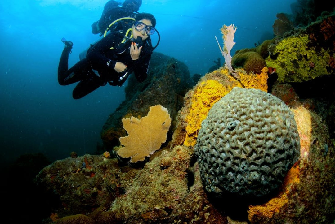 Queiroz Diver-阿拉伊阿尔港必去景点