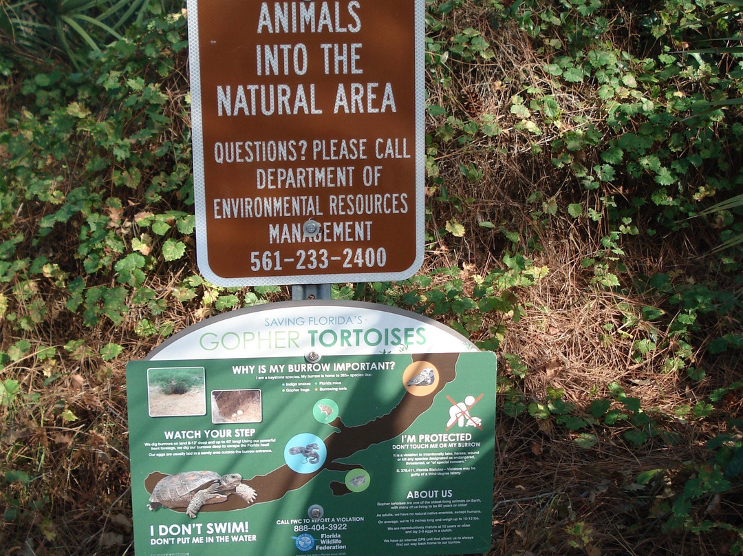 Seacrest Scrub Natural Area-博因顿海滩必去景点