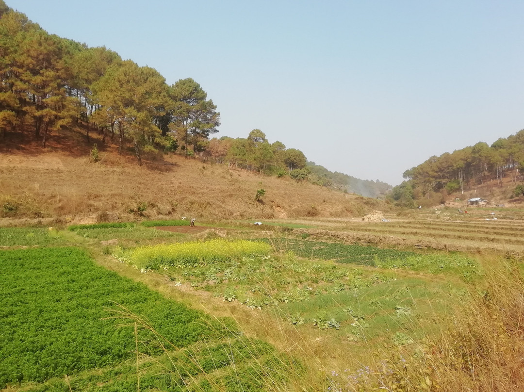 Yola Trekking景点图片