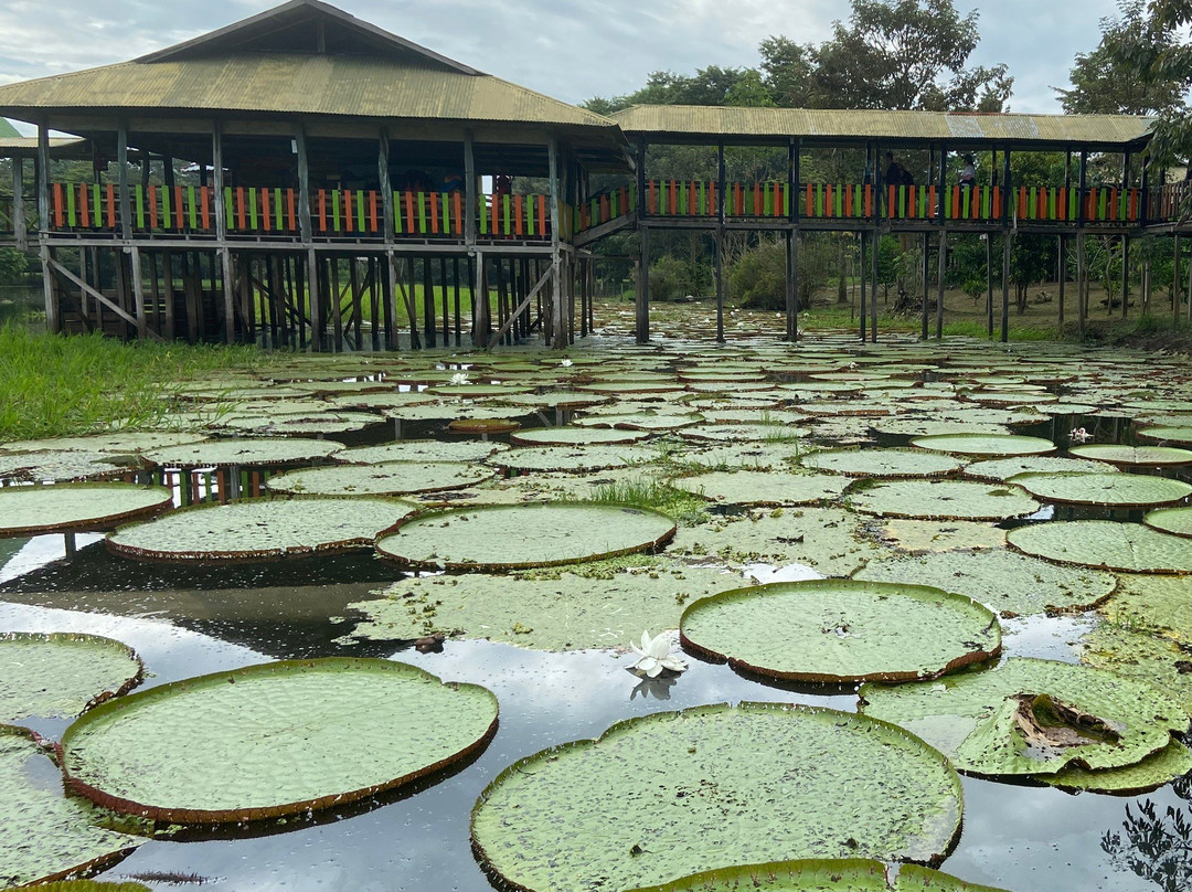 El Jardin de la Victoria Regia景点图片