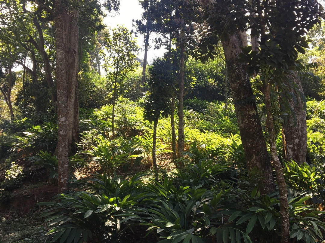 The Gazelle Villa Resort主图