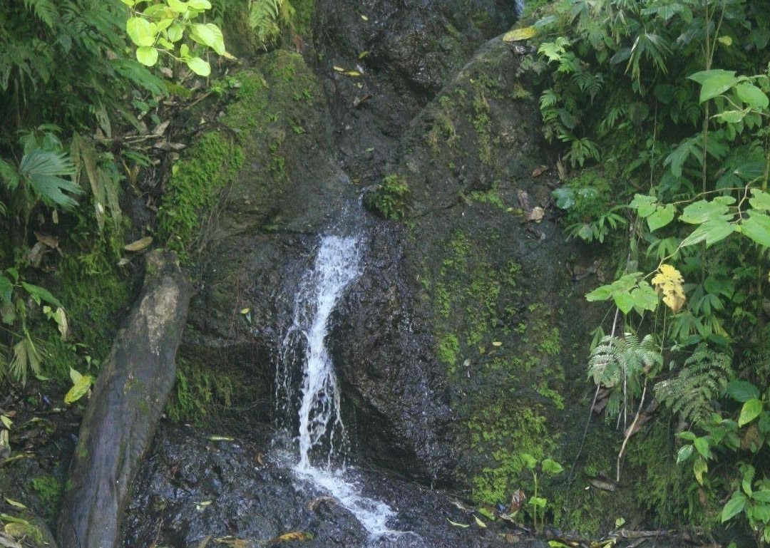 CORCOVADO EL TIGRE景点图片