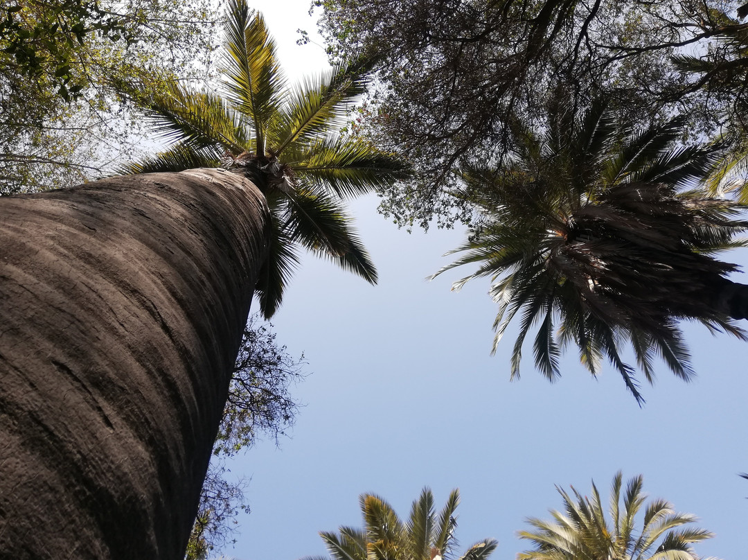 Parque Nacional La Campana-Olmue必去景点