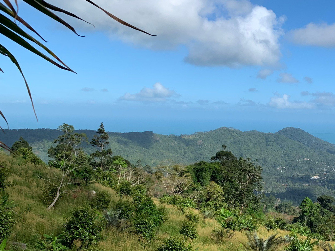 Major Safari Tour-利巴诺伊必去景点