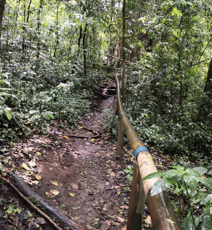 Bosque de la Hoja景点图片