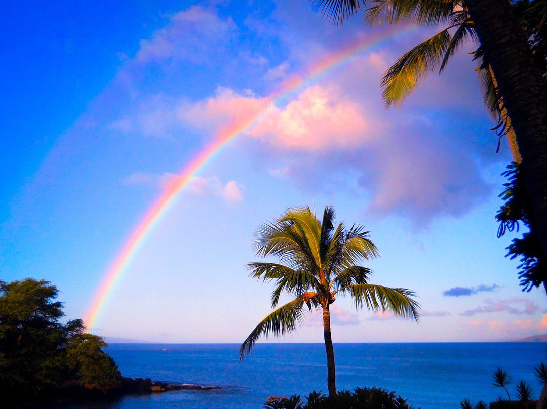 Napili Point Resort主图