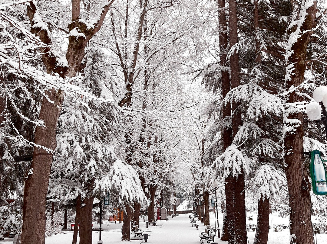Borjomi Central Park-Borjomi必去景点