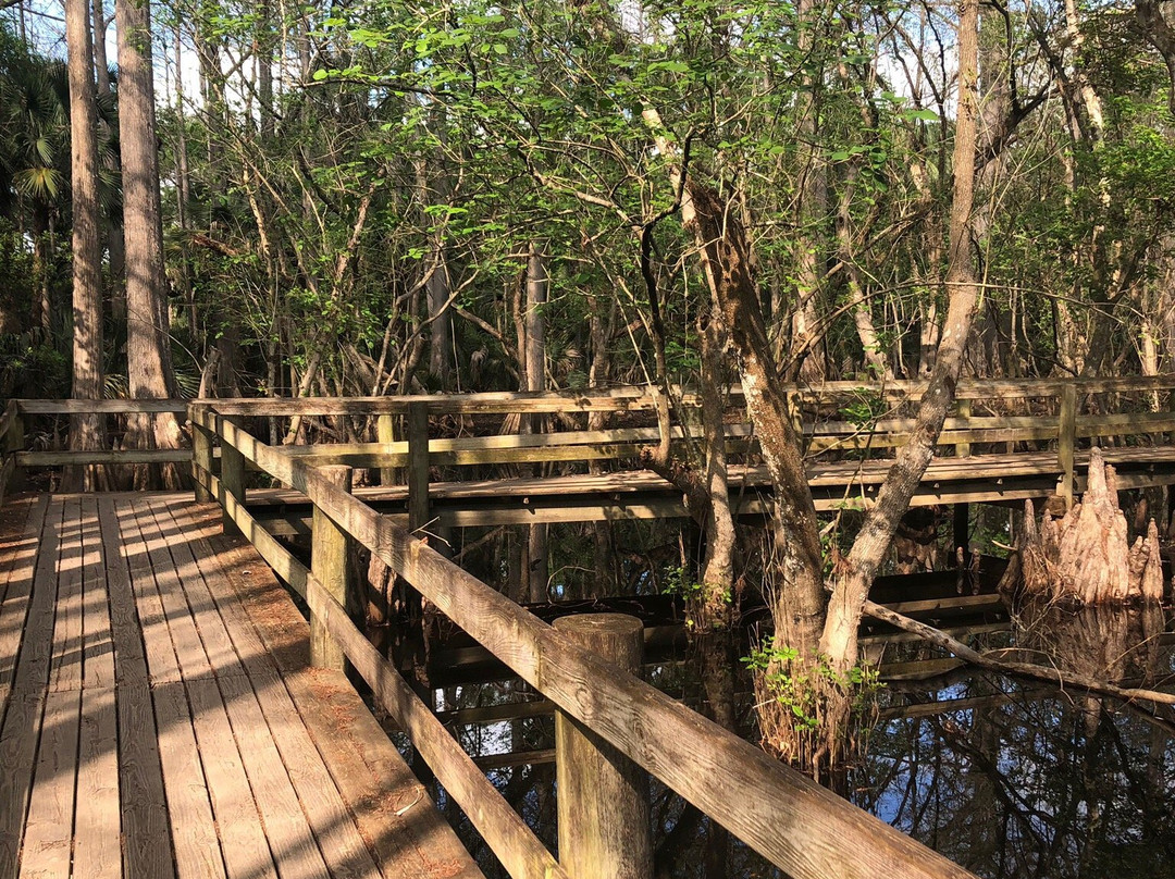 Fred C. Babcock-Cecil M. Webb Wildlife Management Area-蓬塔戈尔达必去景点