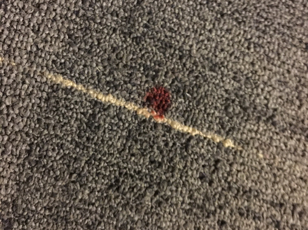 卡温顿品质套房酒店主图