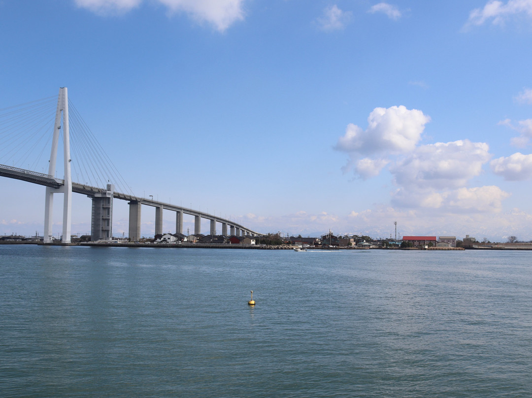 Koshinokata Ferry景点图片