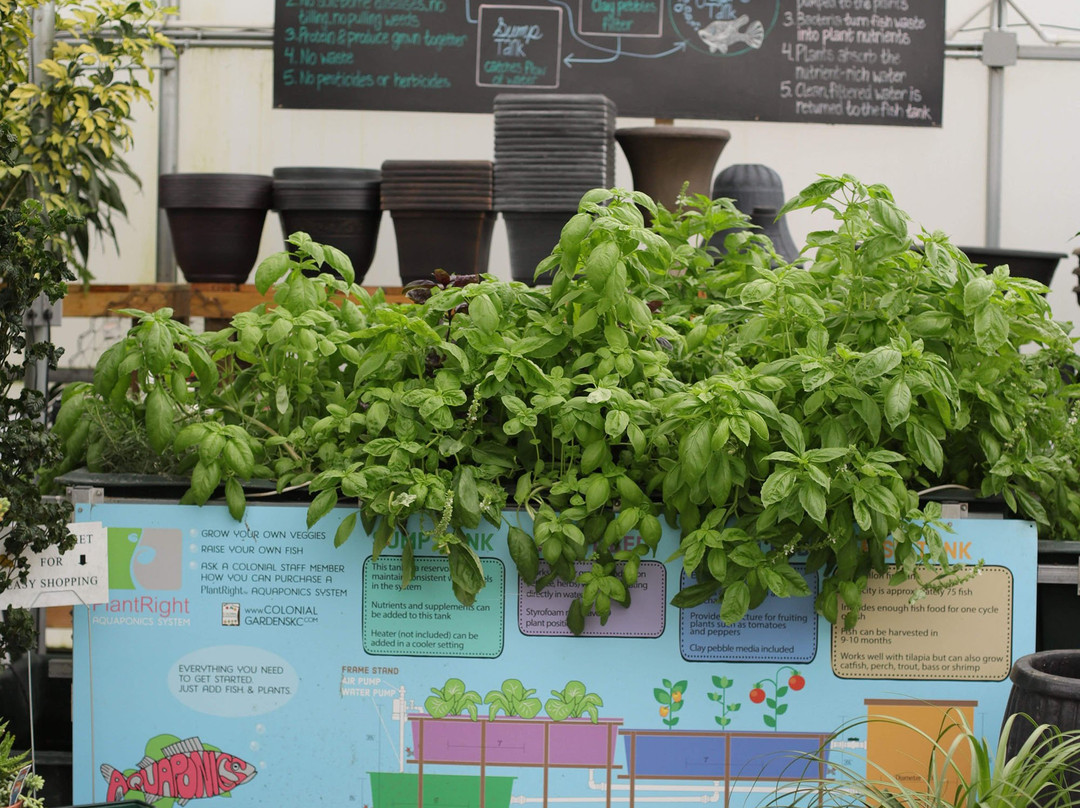 Colonial Gardens-Blue Springs必去景点