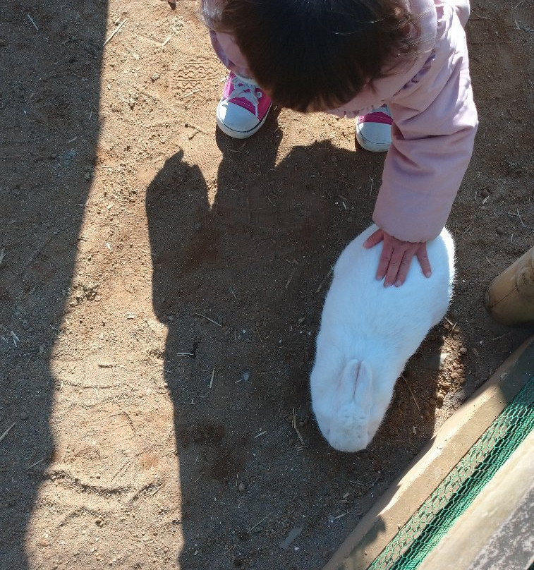 Narita Yume Farm-成田市必去景点