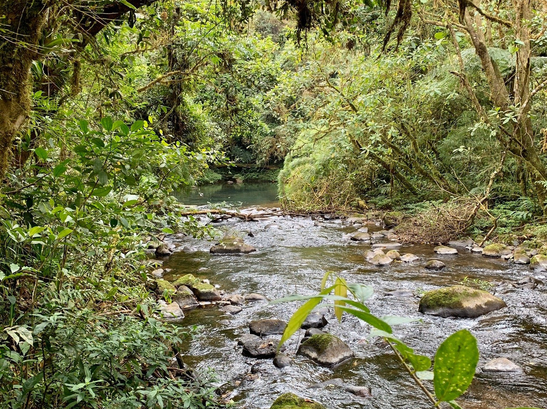 El Canto Del Rio主图