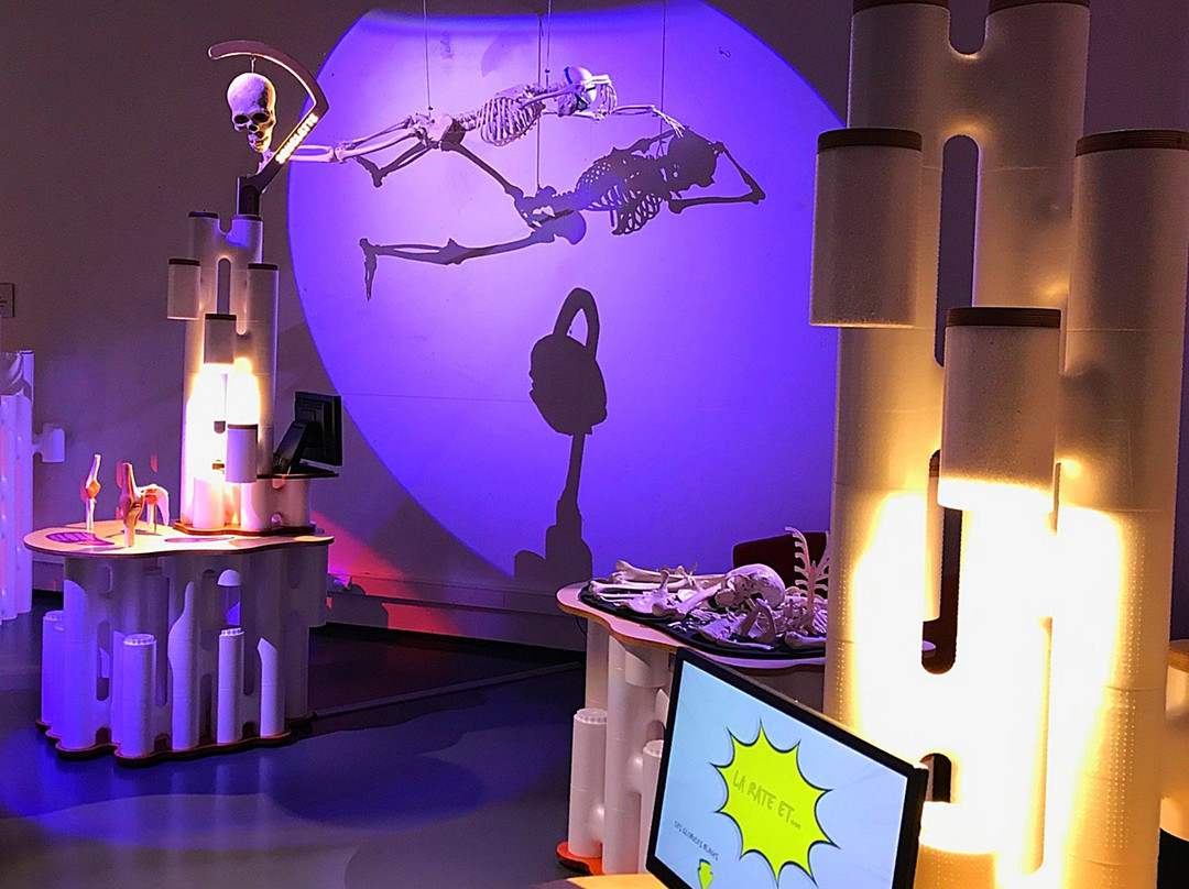 Le Pavillon des Sciences景点图片
