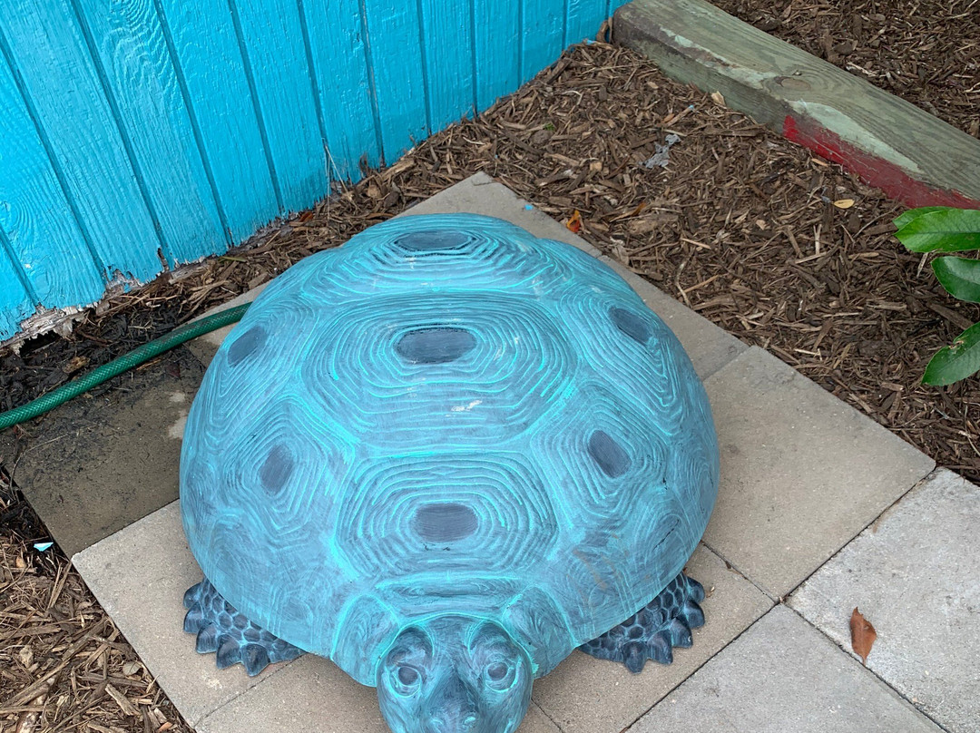 Texas Sealife Center-科珀斯克里斯蒂市必去景点