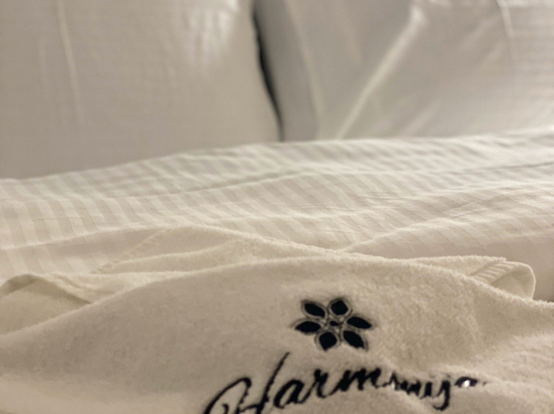 Harmonija Resort - Harmonija Kopaonik主图