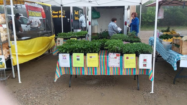 Kershaw County Farmers Market-Camden必去景点