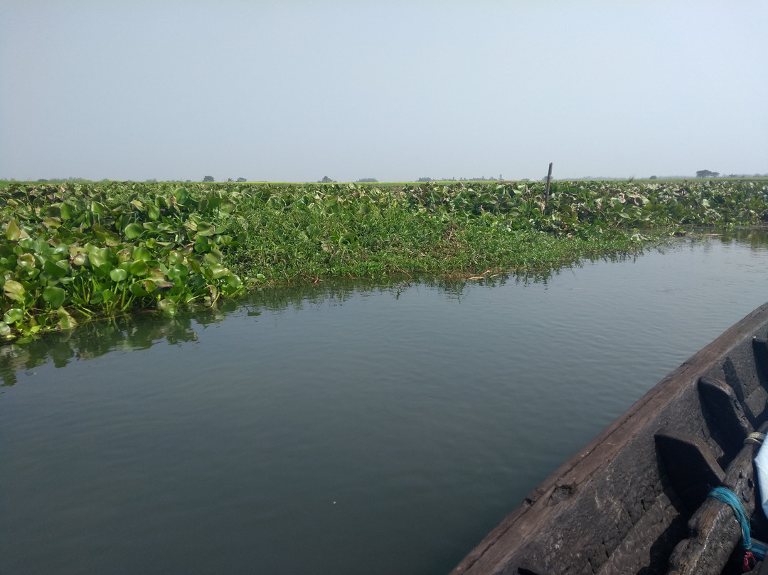 Purbasthali OxBow Lake -Chupi景点图片