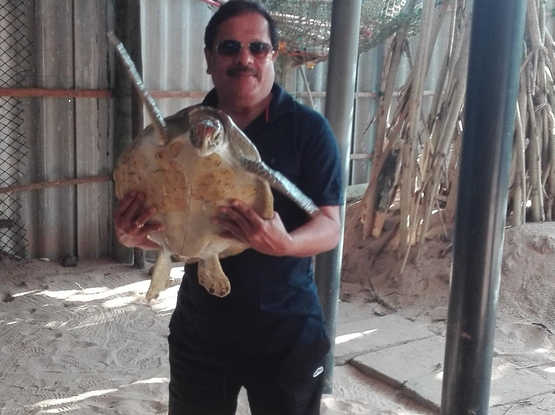 Sarisaralanka Holiday Tours-斯里贾亚瓦德纳普拉必去景点