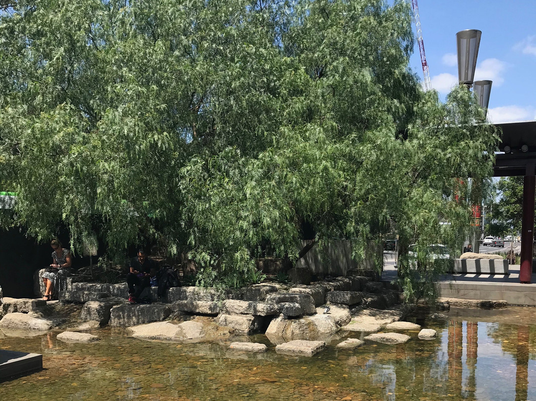 Tianjin Gardens-墨尔本必去景点