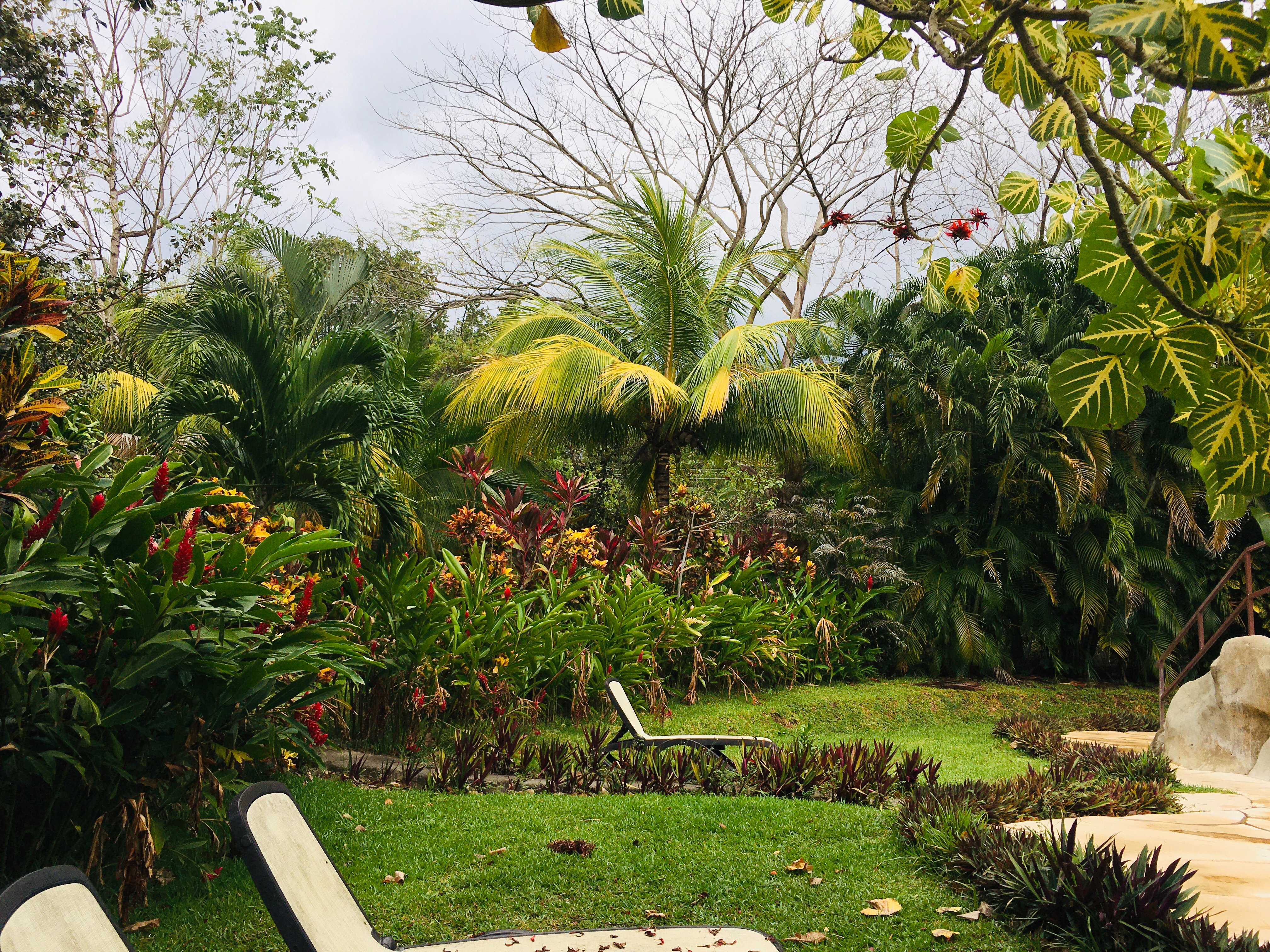 Canon de La Vieja Lodge-泳池