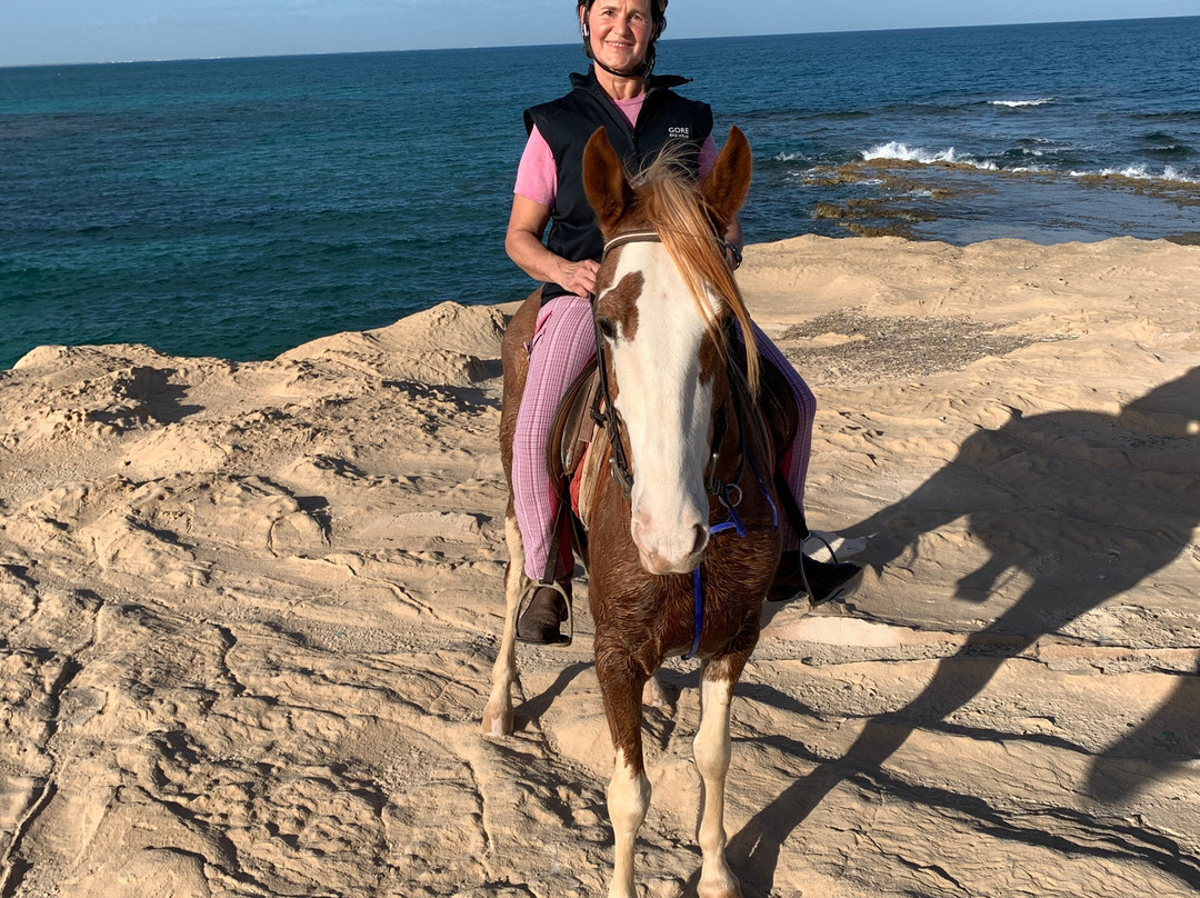 Ranch El-Manar B&B and Stables主图