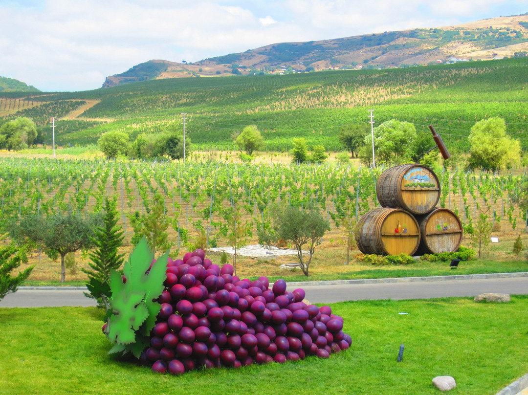 Nasimi's Wine Tours-巴库必去景点